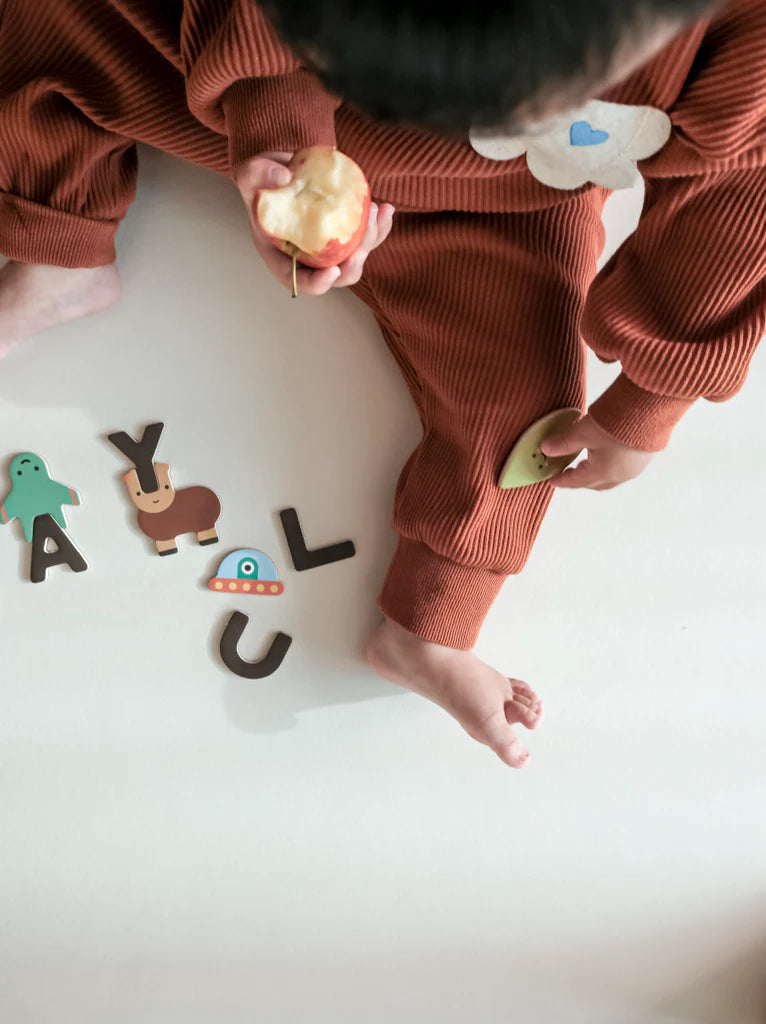 Magnetic Alphabet Play Set