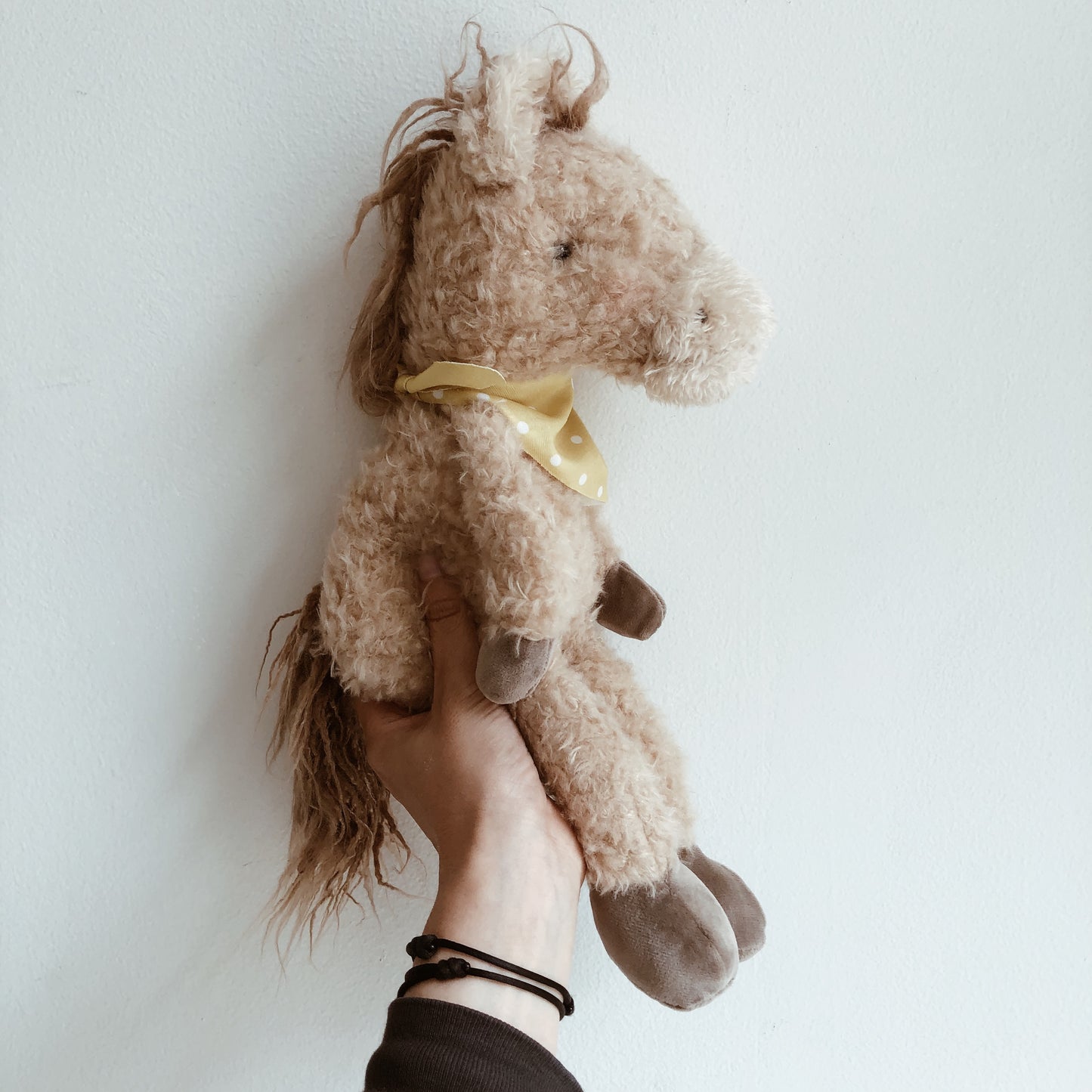 Pony Boy Horse
