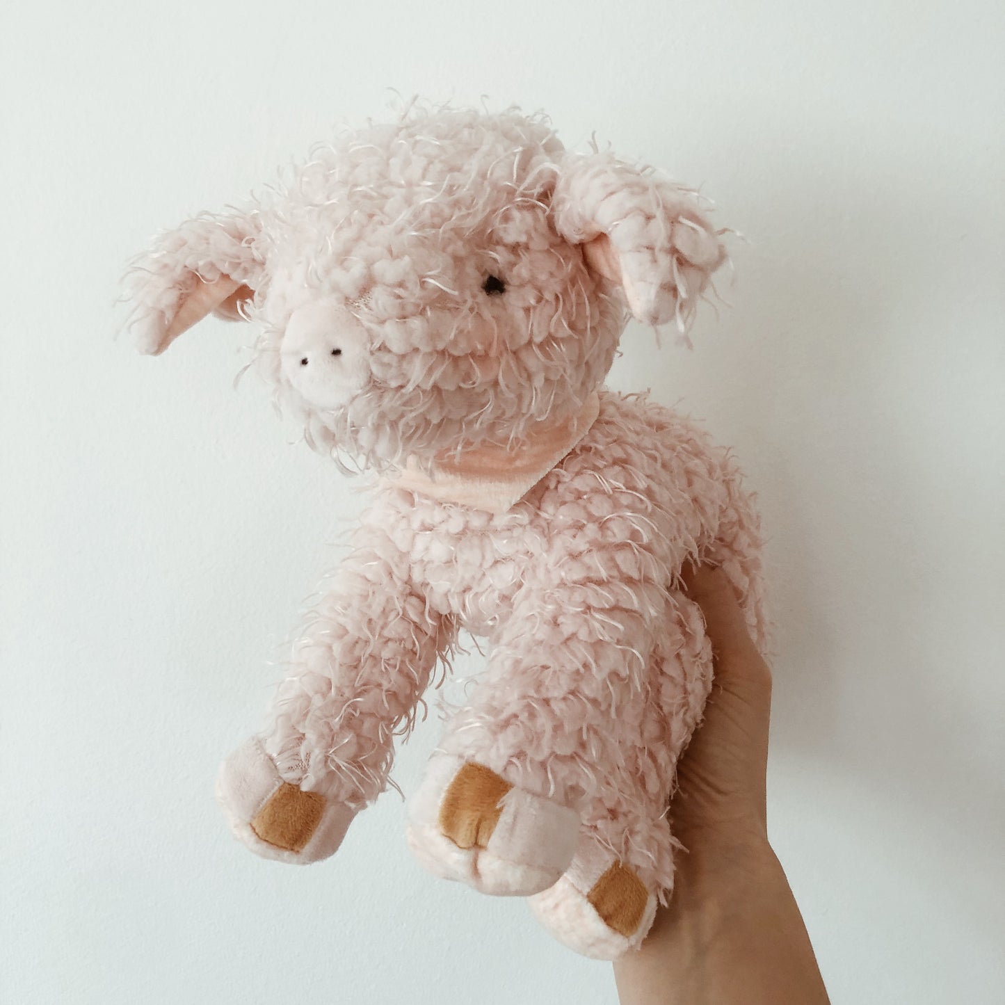 Hammie the Pig