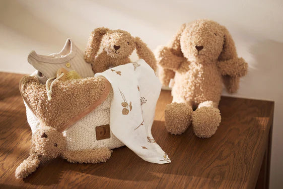 Teddy Bunny Rattle