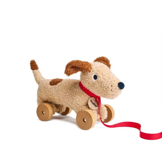 Dudley Pull Along Toy