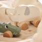 Wooden Crocodile Push Toy