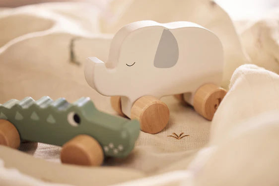 Wooden Crocodile Push Toy