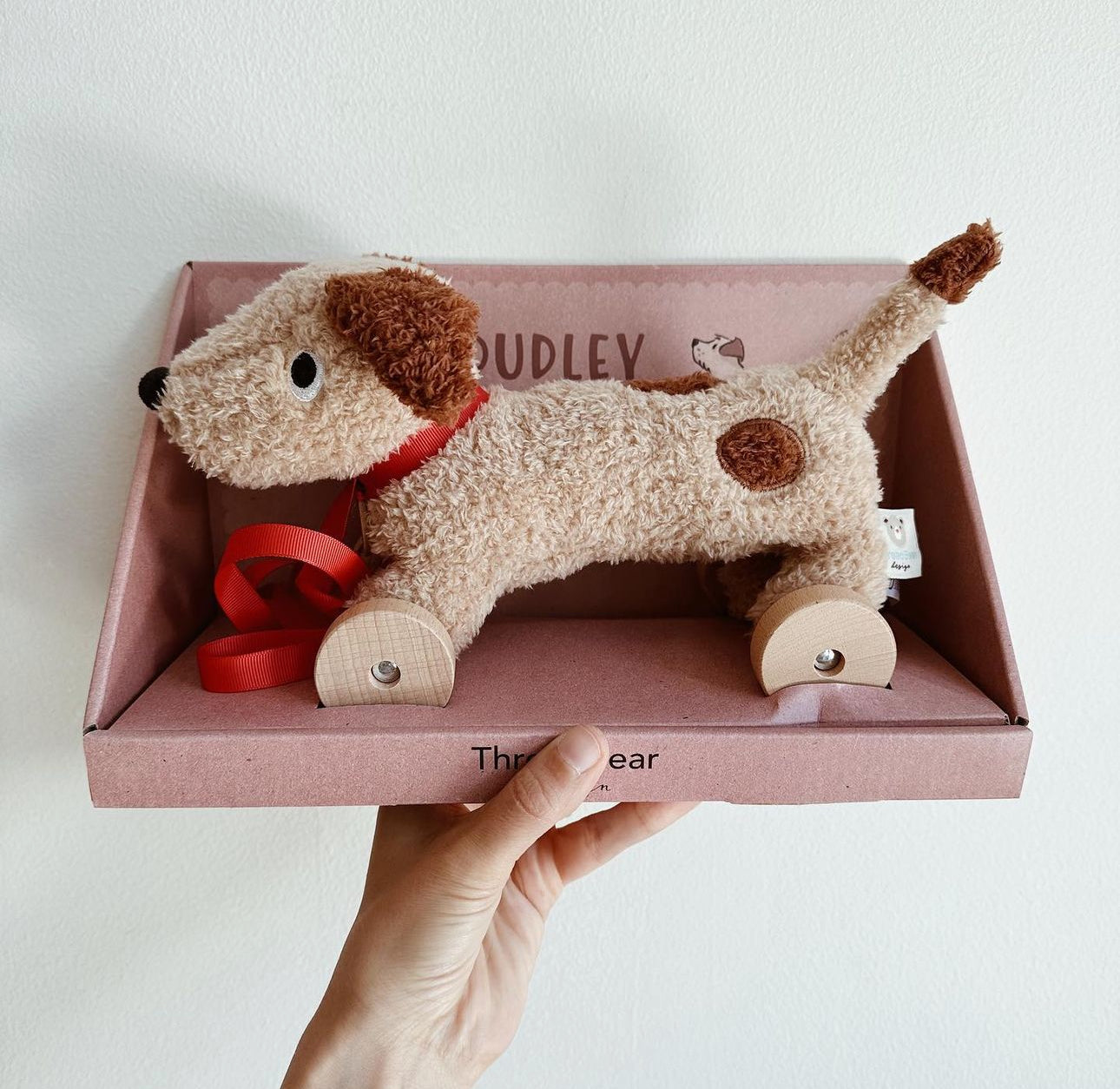 Dudley Pull Along Toy